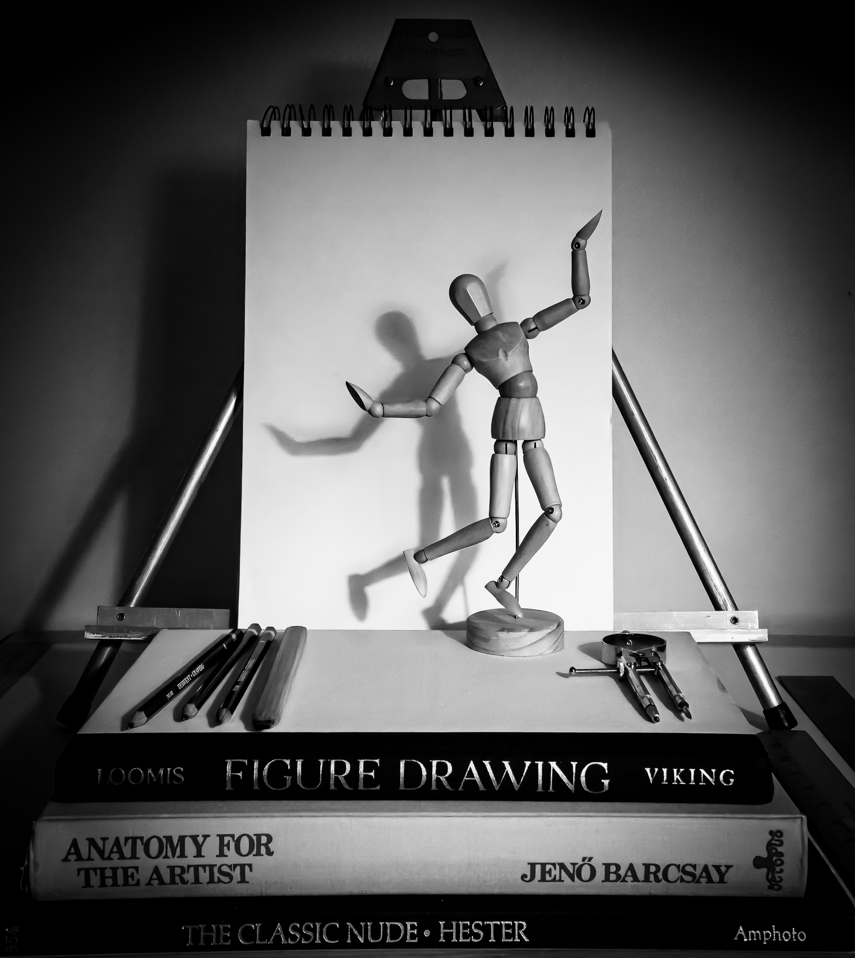 2nd PrizeAssigned Pictorial In Class 3 By Linda Gundersen For Me And My Shadow SEP-2025.jpg